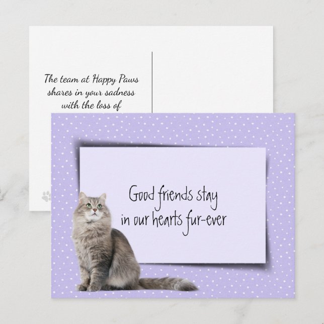 Carte Postale Chat gris perte de l'animal de compagnie du vétéri (Devant / Derrière)