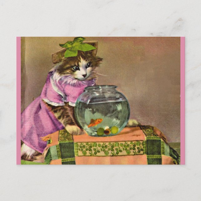 Carte Postale chat habillé et bol de poisson (Devant)