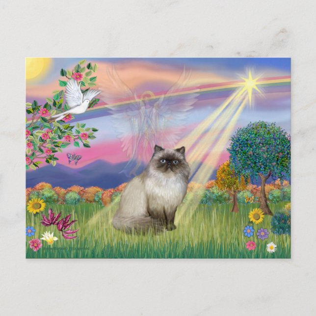 Carte Postale Chat Himalayen pointe chocolat - Ange des nuages (Devant)