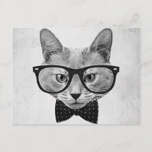 Carte Postale Chat hippique vintage