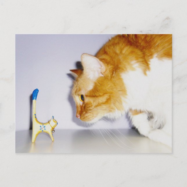 Carte Postale Chat humoristique regardant une statue de chat en  (Devant)