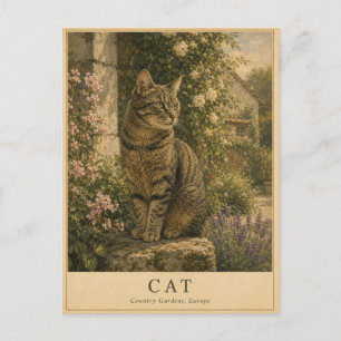 Carte Postale Chat Jardins de campagne européens VINTAGE