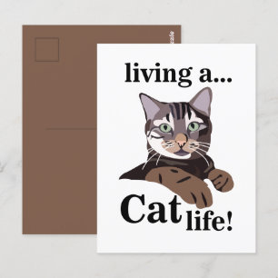Carte Postale Chat Kitty Drôle