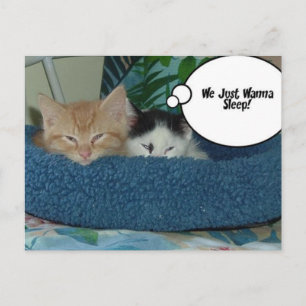 Carte Postale Chat Kitty noir et blanc