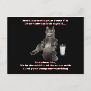 Carte Postale Chat le plus intéressant #3.jpg