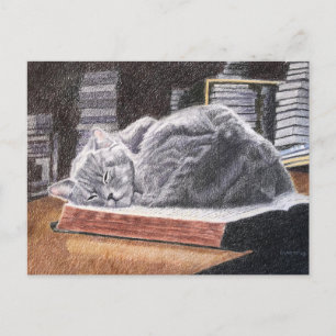 Carte Postale Chat Librairie