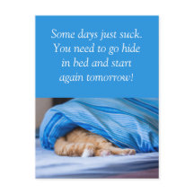 Chat Lit rouge Some days suck