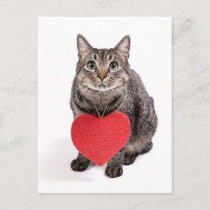 Carte Postale Chat Love