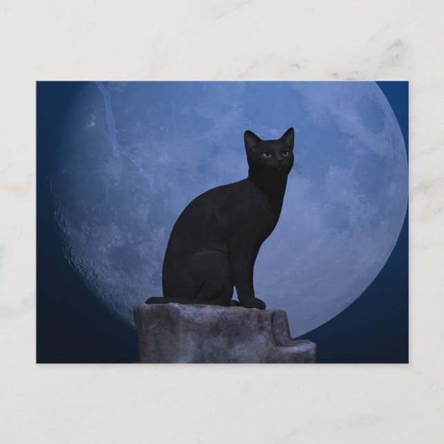 Carte Postale Chat Lune (Devant)