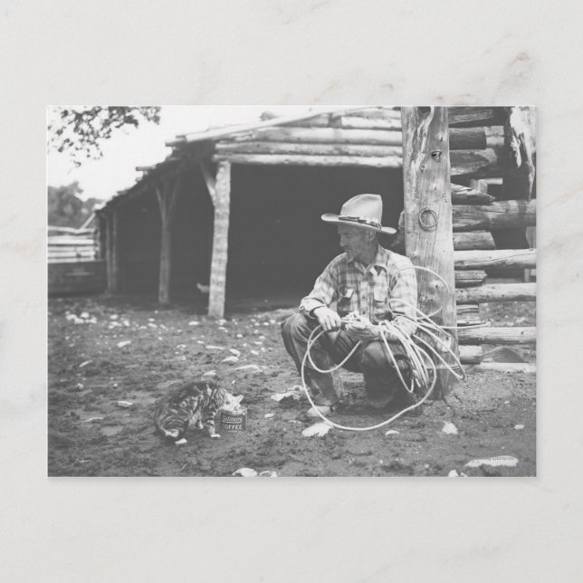 Carte Postale Chat mangeant dans une boîte de café. (Devant)