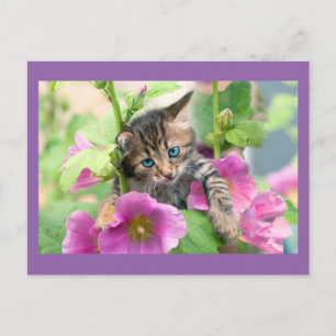 Carte Postale Chat mignon aux fleurs roses