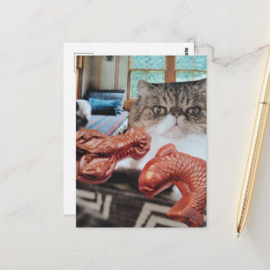 Carte Postale Chat Mignon Avec Collage de Homard et de Poisson