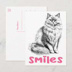Carte Postale Chat Mignon Bonjour Sourires, Chatons Pensant à Vo