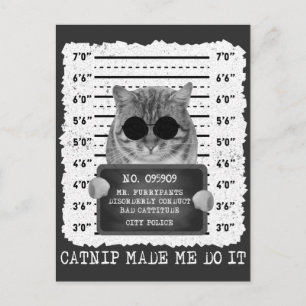 Carte Postale Chat mignon fait par l'herbe à chat Mugshot