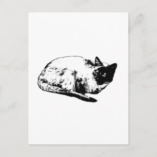 Carte Postale Chat moderne, moment hivernal