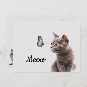 Carte Postale Chat moelleux gris