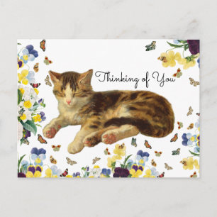 Carte Postale Chat Nap Floral Vintage Victorien Pensée à Toi