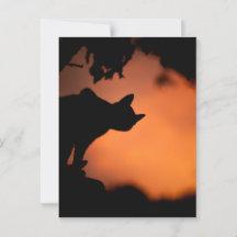 Chat Noir au Coucher de Soleil Halloween
