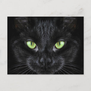 Carte Postale Chat noir aux yeux verts
