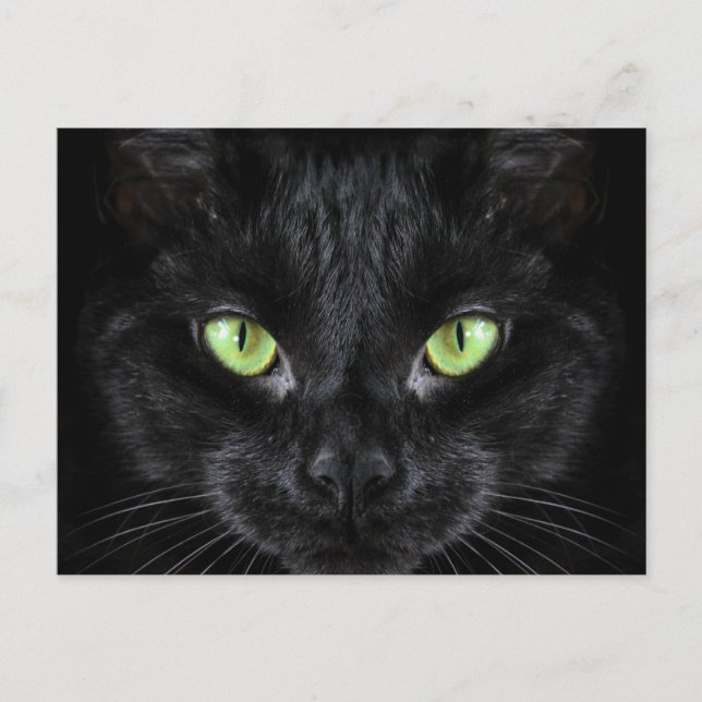 Carte Postale Chat noir aux yeux verts (Devant)
