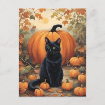 Chat noir avec Citrouille Halloween