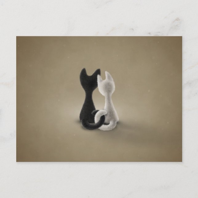 Carte Postale Chat noir Chat blanc (couleur 3) (Devant)