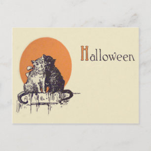 Carte Postale Chat noir chat blanc romance pleine lune