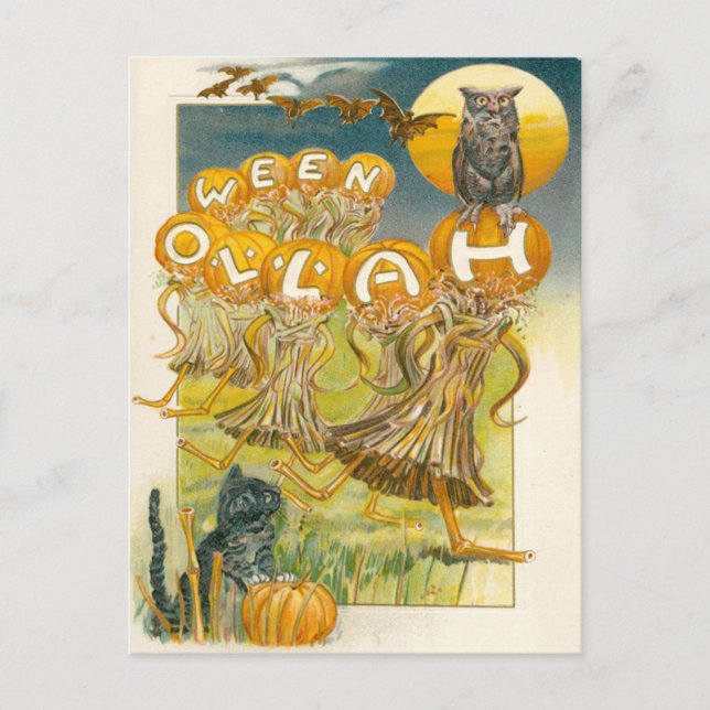 Carte Postale Chat noir Citrouille Chouette Chouette Lune (Devant)