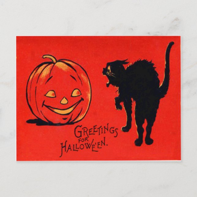 Carte Postale Chat noir Citrouille Jack-o'-lantern (Devant)