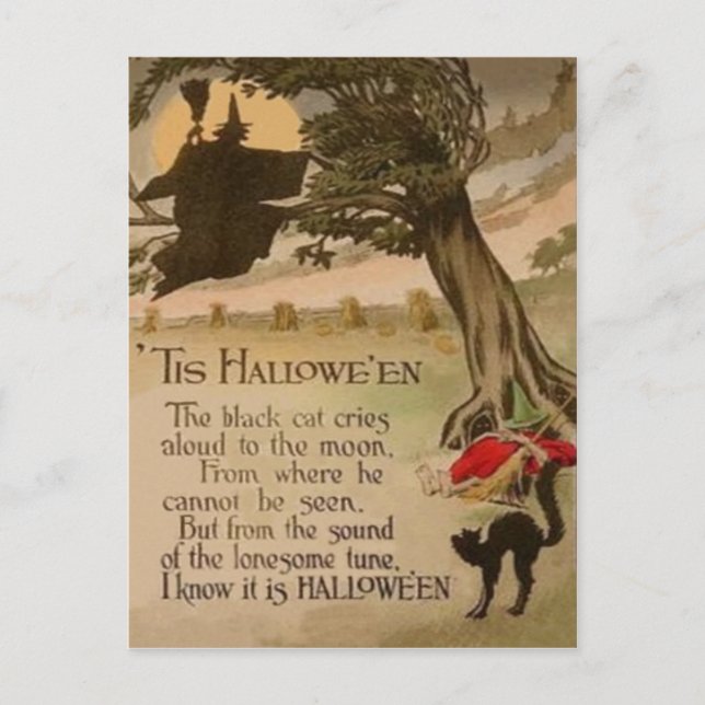Carte Postale Chat noir Citrouille Pleine lune sorcière (Devant)