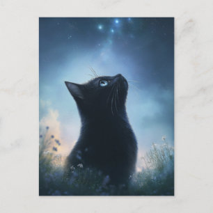 Carte Postale Chat noir contemplant le ciel nocturne de la const