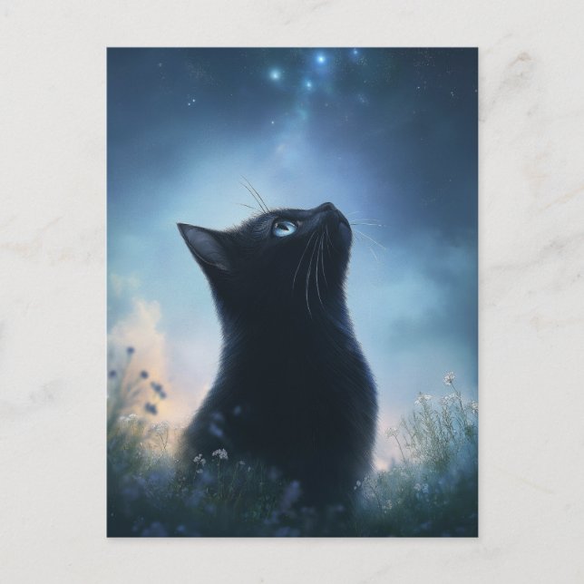 Carte Postale Chat noir contemplant le ciel nocturne de la const (Devant)
