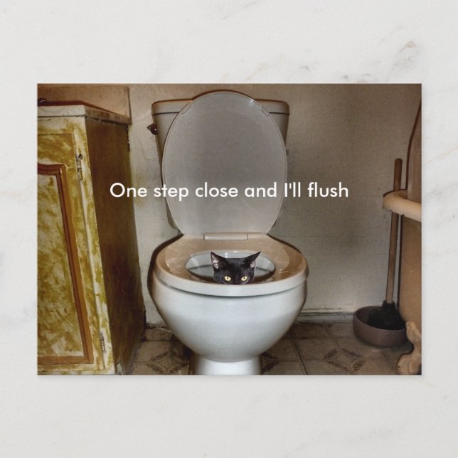 Carte Postale Chat noir dans les toilettes (Devant)