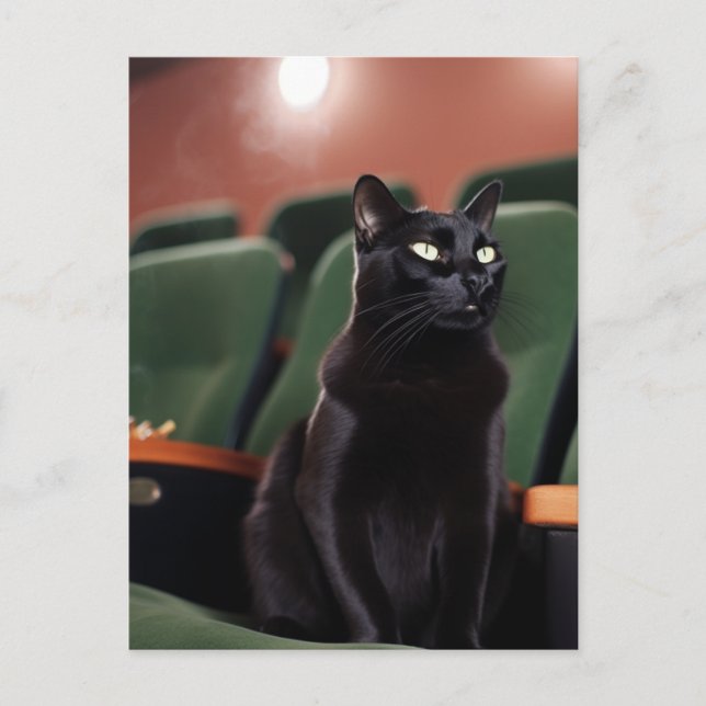 Carte Postale Chat noir dans un théâtre (Devant)