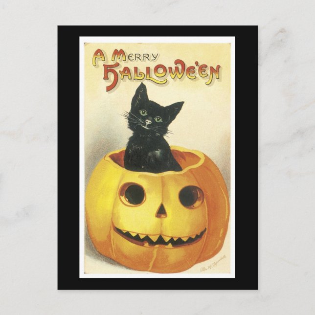 Carte Postale Chat noir d'Halloween et Citrouille (Devant)