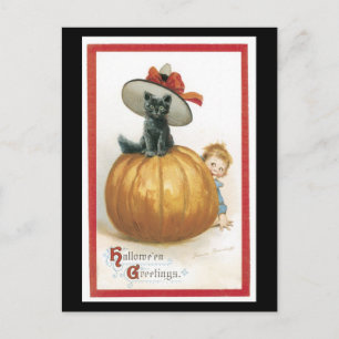 Carte Postale Chat noir d'Halloween et Citrouille
