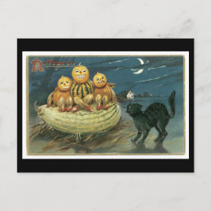 Carte Postale Chat noir d'Halloween et Citrouille
