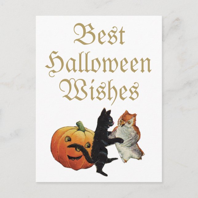 Carte Postale Chat noir d'Halloween, hibou et Citrouille (Devant)
