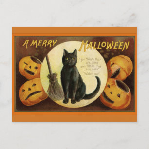 Carte Postale Chat noir d'Halloween vintage et Citrouilles sculp
