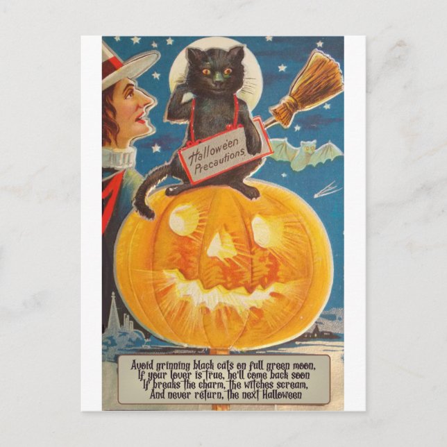 Carte Postale Chat noir est assis sur une grosse citrouille bril (Devant)