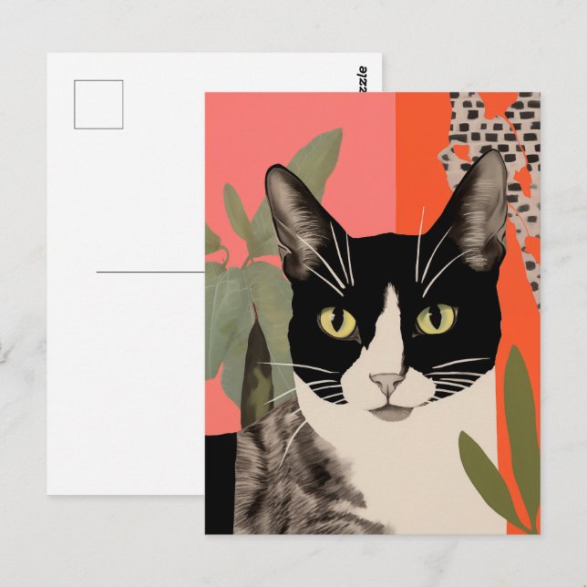 Carte Postale Chat noir et blanc (Devant / Derrière)