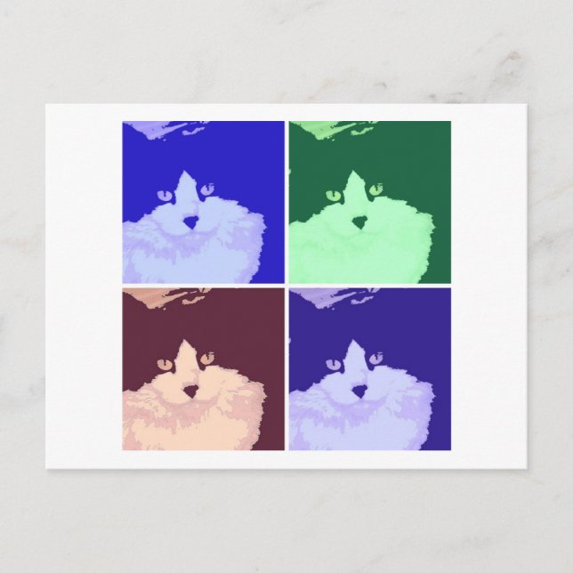 Carte Postale Chat noir et blanc à poils longs (Devant)