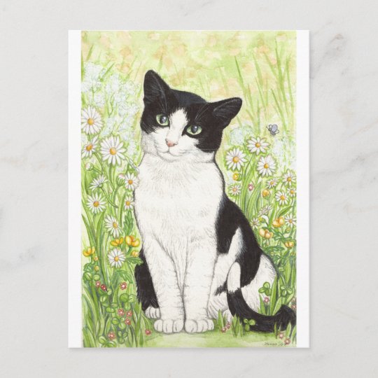 Carte Postale Chat Noir Et Blanc Avec Marguerites Zazzle Fr