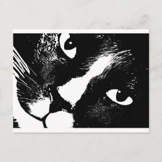 Carte Postale Chat noir et blanc face proche