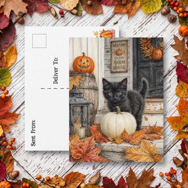 Carte Postale Chat noir et citrouille | Joyeux Halloween  (Créateur téléchargé)