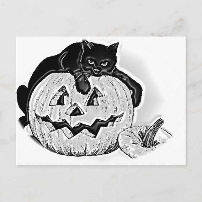 Carte Postale Chat noir et Halloween Citrouille Éffrayant (Devant)