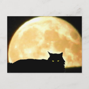 Carte Postale Chat noir et Pleine lune relaxant