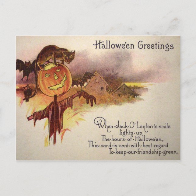 Carte Postale Chat noir Jack O' Lantern Citrouille Chauve-souris (Devant)