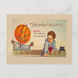 Carte Postale Chat Noir Jack O Lanterne Citrouille Épouvantail