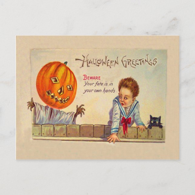 Carte Postale Chat Noir Jack O Lanterne Citrouille Épouvantail (Devant)
